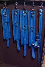 The Blue Command
