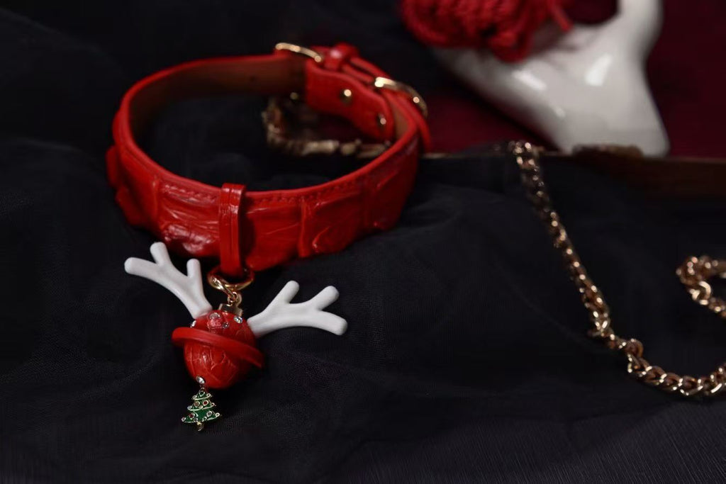 Holly Antler 4