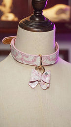 Sugarwing 1