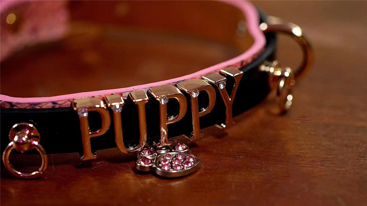 Pink Cipher 6
