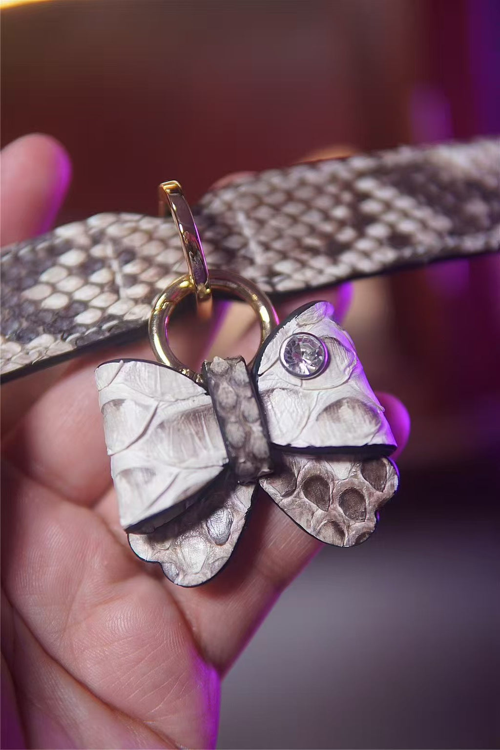 Python Moth 2