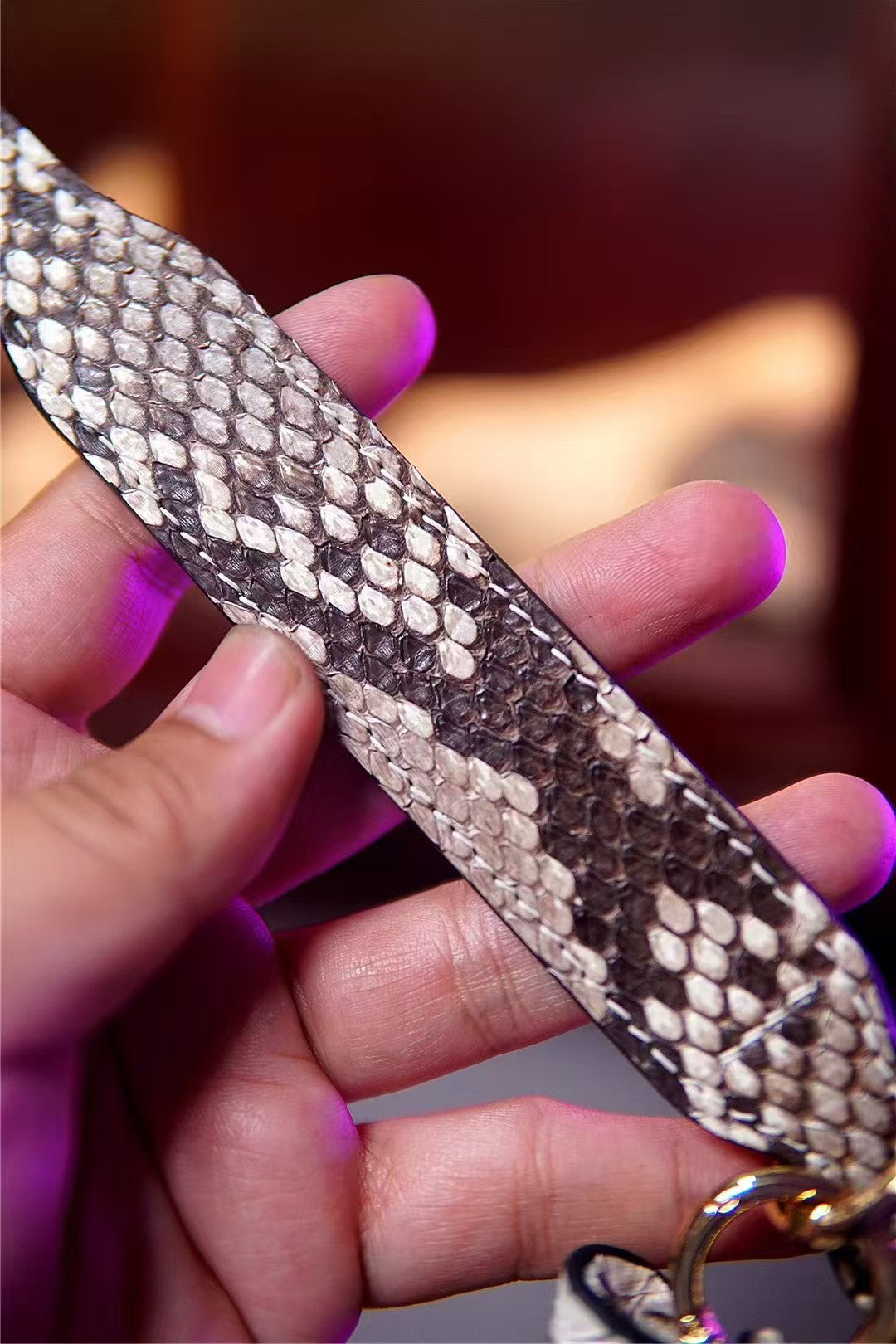 Python Moth 5