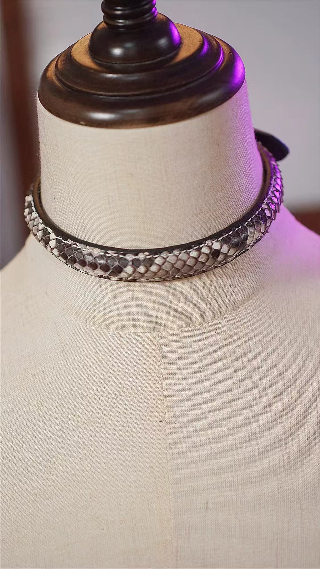 Python Rise 1