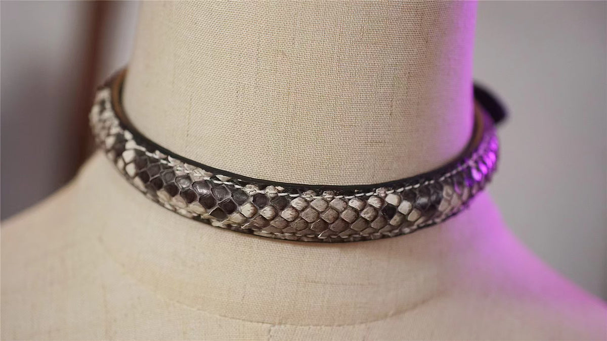 Python Rise 2
