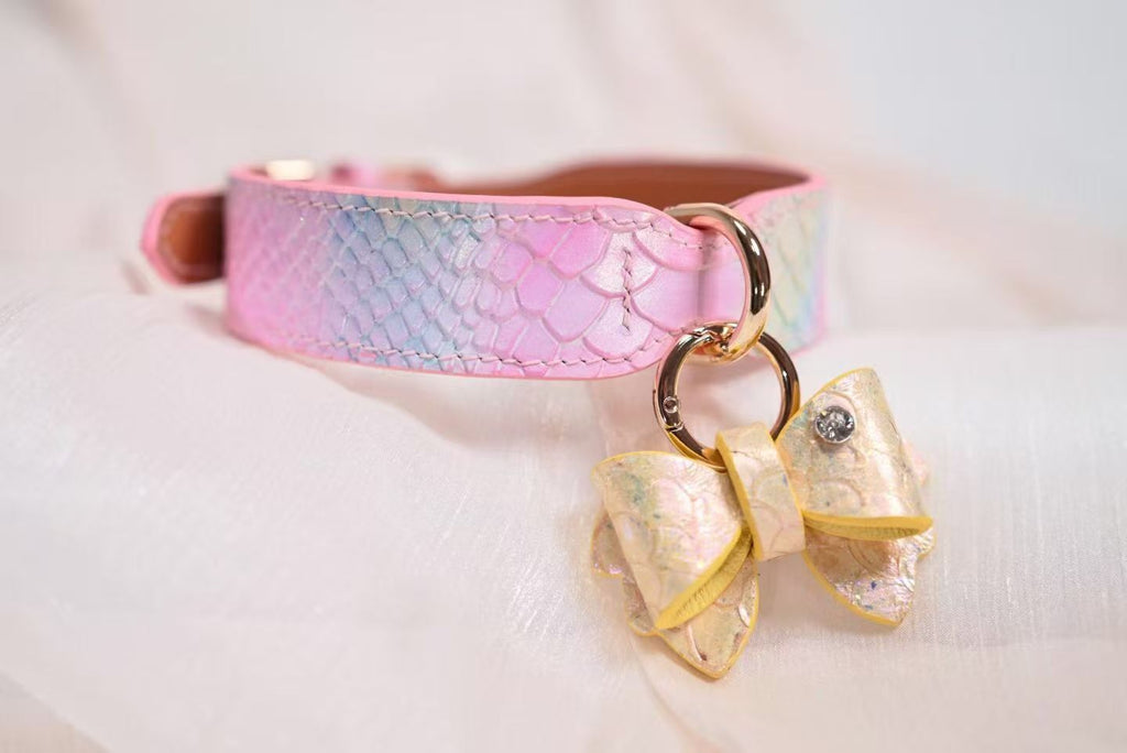 Koi Bow 1