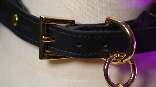 Black Laurel 1