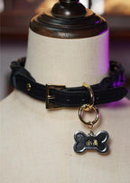 Black Laurel 4