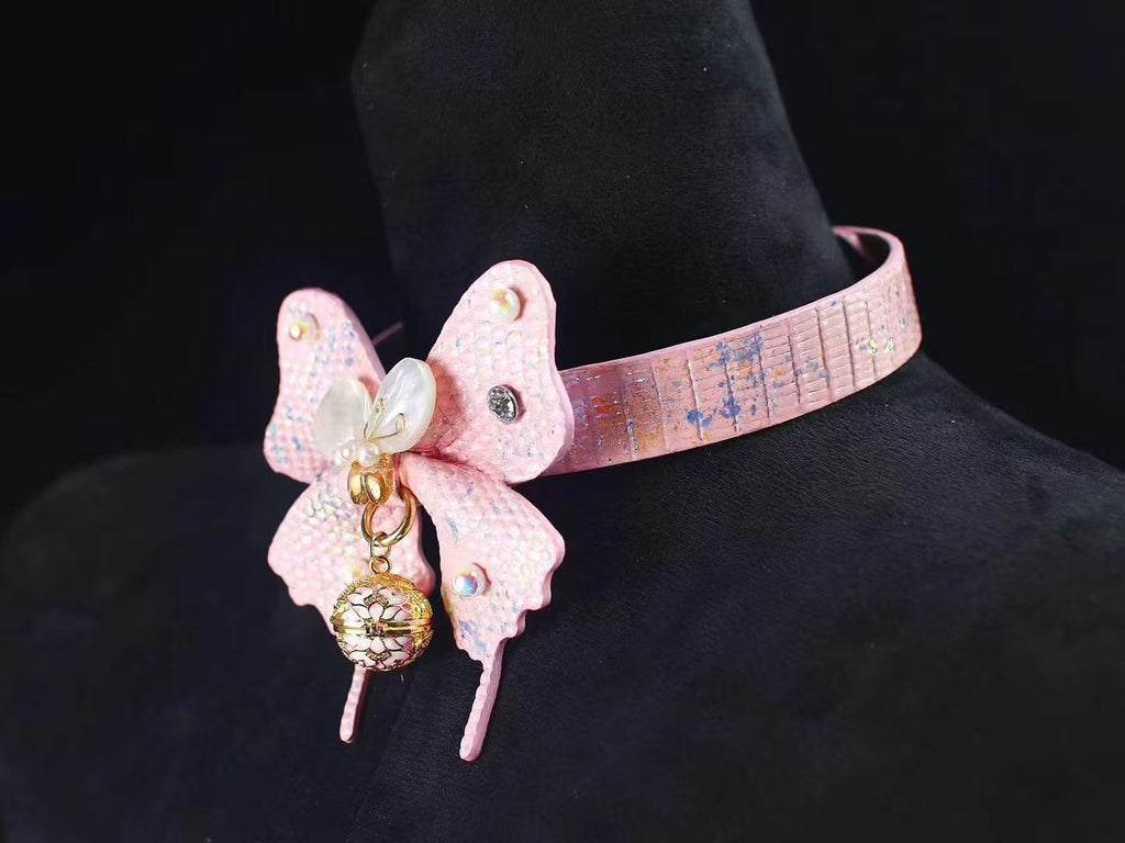 Pearl Moth 2