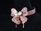 Pearl Moth 4