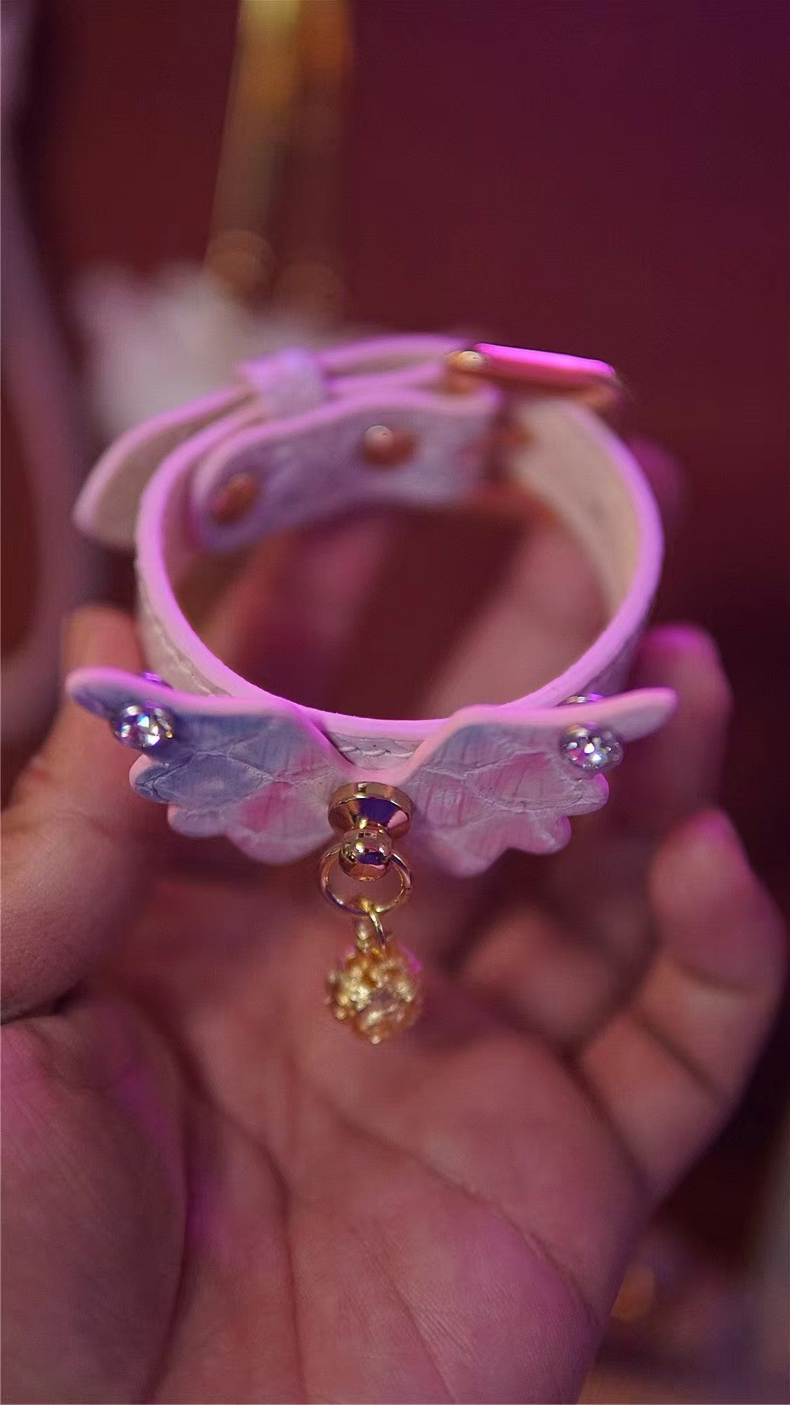 Afterglow Wing 8